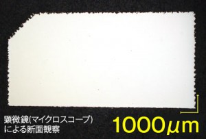 造形物の断面研磨と内部観察