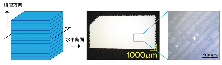 Unique Structure in Horizontal Cross Section of 3D Metal Printing Products