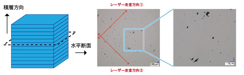 金属3Dプリントの欠陥 水平断面