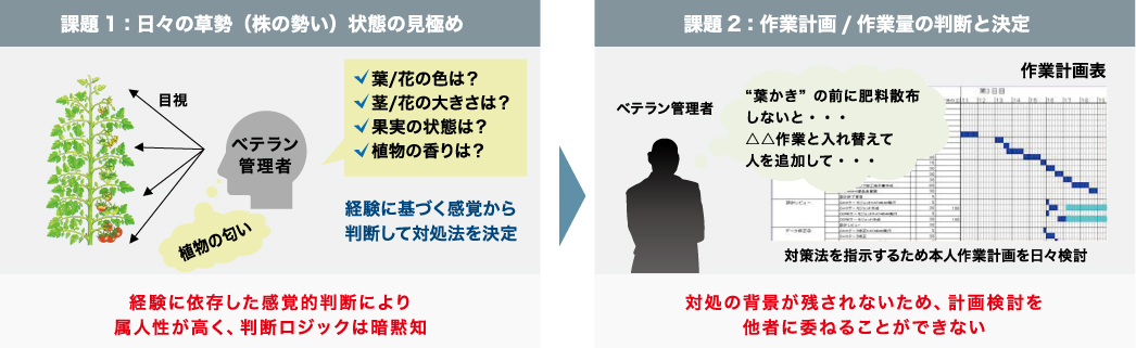 トマト栽培の作業指示・労務管理業務の課題