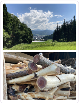 木工の盛んな飛騨高山の木工職人の皆さまと連携し、未利用の広葉樹活用を検討