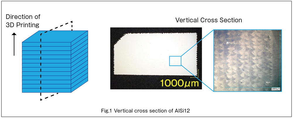 Unique Structure in Vertical Cross Section of 3D Metal Printing Products